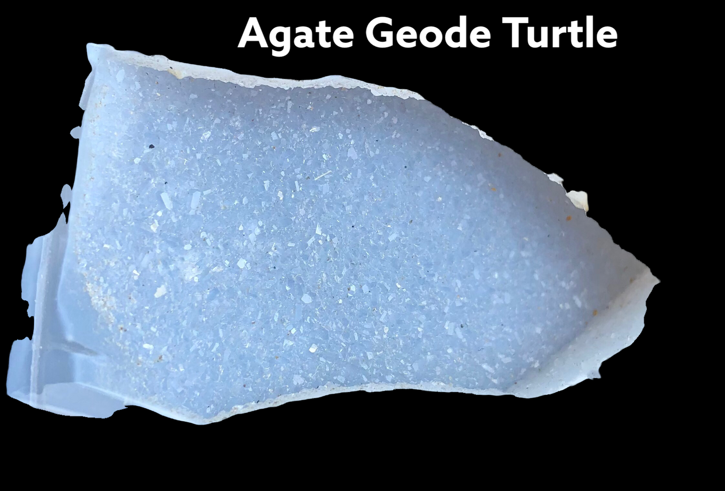 Agate Geode Turtle