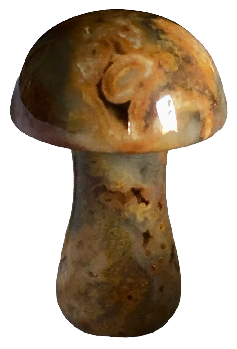Jasper Mushrooms