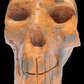 Leopard Jasper Skull