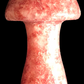 Jasper Mushrooms