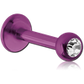 Titanium w/ Gem Labrets
