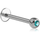 Titanium w/ Gem Labrets